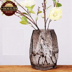 HOSTLY 豪斯特丽 几何石头玻璃花瓶透明不规则酒店客厅插花摆件鲜花玫瑰创意北欧式 高22CM