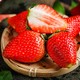 新鲜丹东草莓牛奶奶油草莓 3斤
