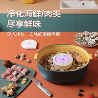 Haier 海尔 果蔬清洗机家用洗菜机非超声波食材净化机肉类水果蔬菜消毒机