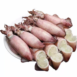 plus会员竹域海兔带籽鱿鱼仔满籽墨鱼仔2斤