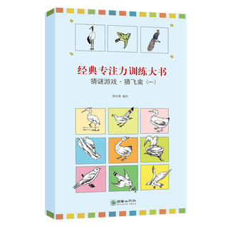 《经典专注力训练大书系列·猜谜游戏》（套装共10册）