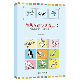 《经典专注力训练大书系列·猜谜游戏》（套装共10册）