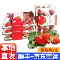 爽果乐 大凉山牛奶草莓 红颜草莓 新鲜水果 精品中果2盒 30-40颗（净重700g）