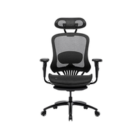 YANXUAN 网易严选 人体工学转椅 黑色 全功能款