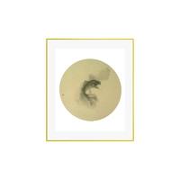 买买艺术 林枫《鱼之乐六》40x50cm 2017 美术纸 金色铝合金框