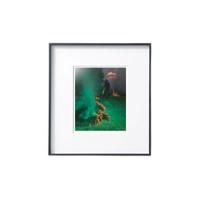 PICA Photo 拾相记 贝努瓦·帕耶 Benoit Paillé《林火 1号》30x33cm 石墨黑合金框