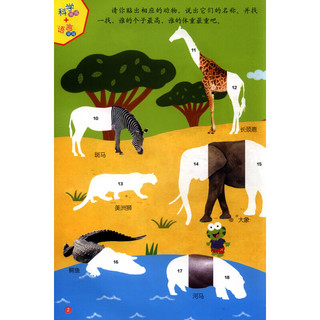 《红袋鼠开心游戏·玩转艺术课·动物贴纸》