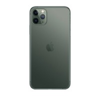 Apple 苹果 iPhone 11 Pro Max 4G手机 64GB 暗夜绿色+Beats Powerbeats Pro 蓝牙耳机 黑色