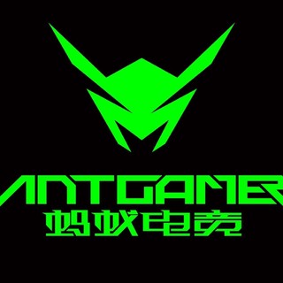 ANTGAMER/蚂蚁电竞