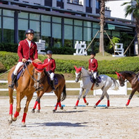 重庆卓悦马会马术酒店