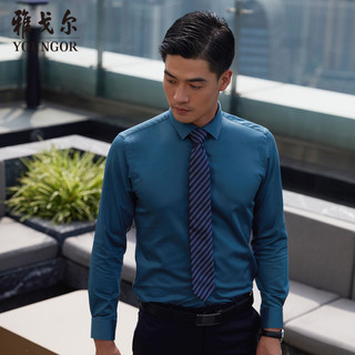 雅戈尔长袖衬衫秋季新款男士官方商务男友新疆棉弹力免烫修身衬衣（38、湖蓝）