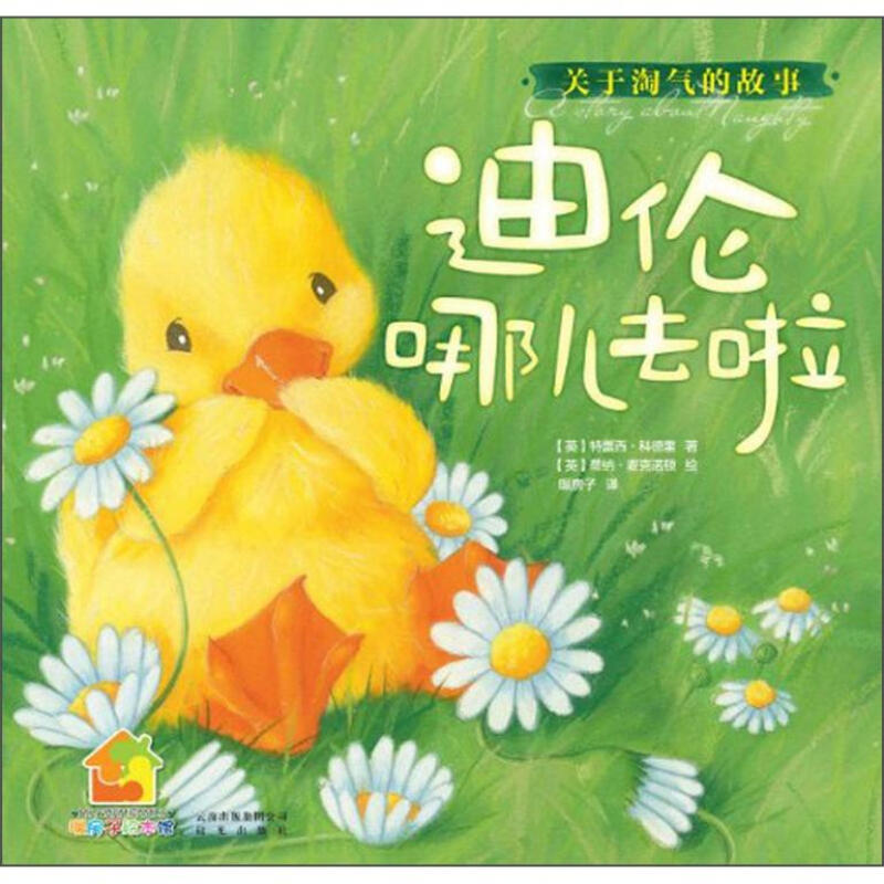 《迪伦哪儿去啦》