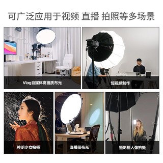 Aputure 爱图仕 amaran 100d 100x 直播视频补光灯 摄影摄像美颜拍照影棚灯 室内人像儿童拍摄灯 amaran 100d