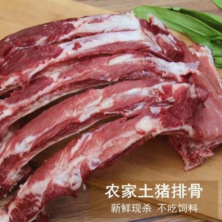 猪排骨新鲜土猪多肉排骨   新鲜土猪多肉排骨1斤