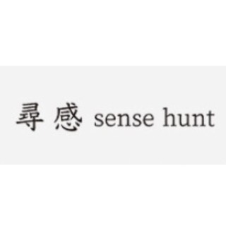 sense hunt/寻感