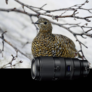 Nikon 尼康 NIKKOR Z 100-400mm f/4.5-5.6 VR S 远摄变焦镜头 尼康Z卡口 77mm