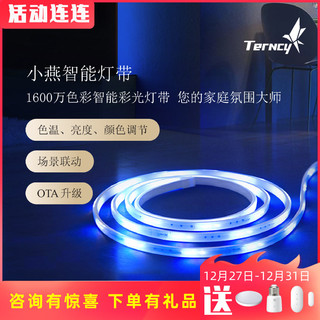 Terncy 小燕科技 rgb感应流水led灯条客厅吊顶氛围智彩色七彩柔软智能灯带