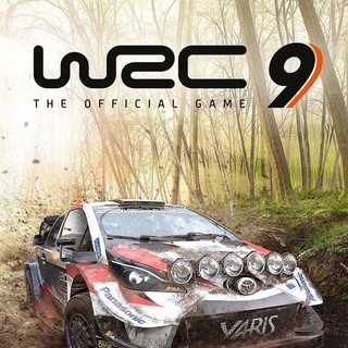  Nacon《WRC 9 FIA世界拉力锦标赛》PC数字版游戏