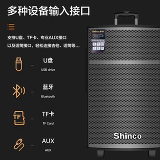 新科（Shinco）T509 移动拉杆户外音箱 15英寸蓝牙广场舞音响 大功率重低音KTV 便携式扩音器带麦克风