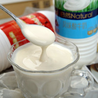 MENGNIU 蒙牛 风味酸牛奶活性乳酸菌低温酸奶家庭装原味1.1kg