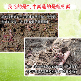 蚯蚓粪有机肥蚯蚓粪养花肥料通用型月季肥种菜花卉家庭多肉营养土