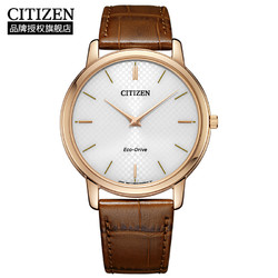 CITIZEN 西铁城 男士光动能表 AR1133-15A