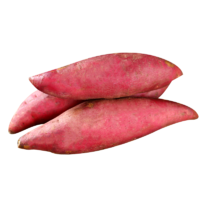 薯根香 山东板栗红薯 小果5斤