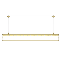 PRECIOUSLADY 金贵夫人 SJ-DG02 手动升降式晾衣架