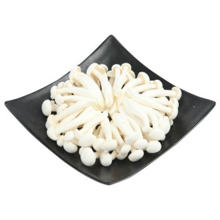 bacteriaheungyuen菌香园白玉菇150g