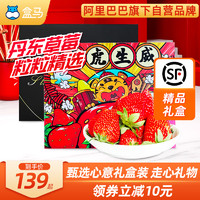 盒马正宗丹东99红颜草莓礼盒装当季时令新鲜水果现摘现发顺丰包邮