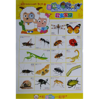 喜羊羊与灰太狼喜羊羊快乐认知挂图第一辑昆虫家族