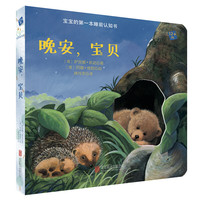 《宝宝的第一本睡前认知书·晚安，宝贝》