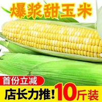 玉乡甜广西新鲜现摘现发水果黄金爆浆甜玉米3/5/9斤装