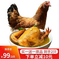 百年栗园 北京油鸡土鸡老母鸡生鲜鸡肉杀前约3斤 散养柴鸡500天走地鸡