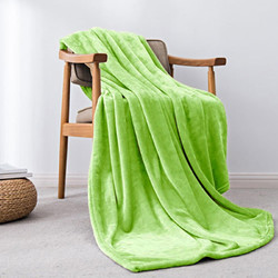 SHERWOOD 喜屋 毛毯法兰绒毯子四季盖毯午睡空调毯 毛巾被单双人空调被珊瑚绒毛毯被 绿色 150x200cm