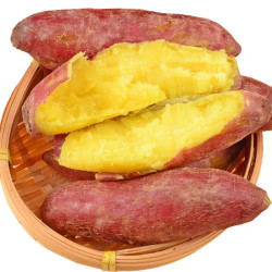 新鲜红皮黄心蜜薯糖心红薯新鲜番薯农家沙地超甜地瓜5斤现挖现发
