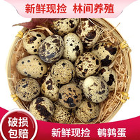 呈祥 鹌鹑蛋 54枚