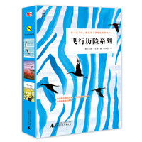 《飞行历险系列》（套装共3册）