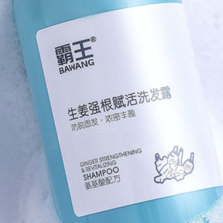 BAWANG 霸王 洗发水套装 (氨基酸生姜强根赋活洗发露480ml*3+育发防脱洗发液80ml*2)