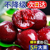 甘福园 智利进口车厘子新鲜5斤水果包邮当季整箱4j礼盒孕妇3现货特大樱桃 500g XL 24mm(含)-26mm(不含)