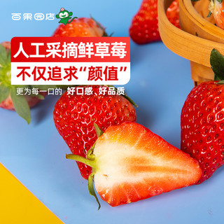 丹东99草莓新鲜1-3斤当季新鲜红宝玉红颜奶油大草莓