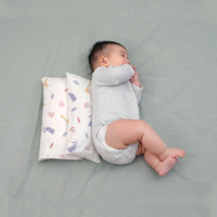 直播专享：CHISILK 亲此刻 婴儿防惊跳压枕头 CSK2101028