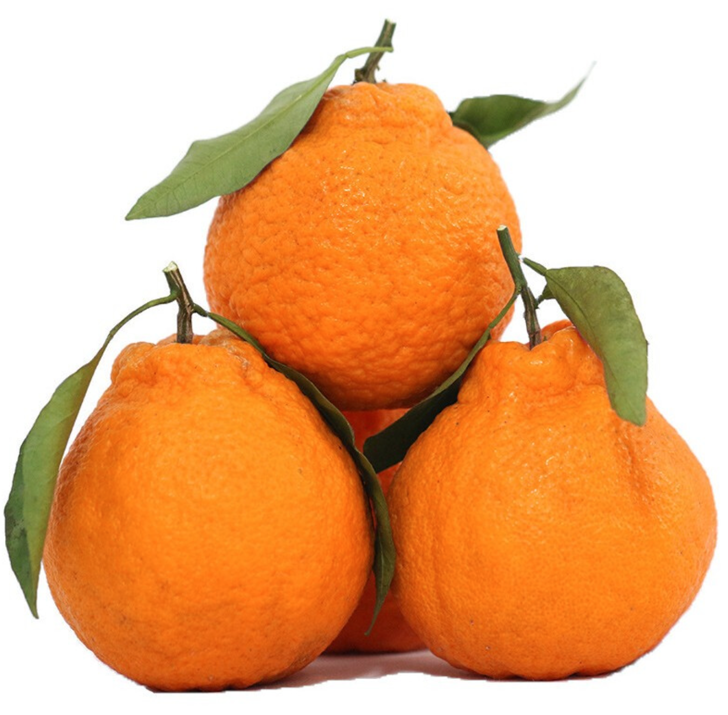 百科新鲜的2022-01-11 21:31:54