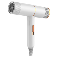 Aiwode 艾沃得 电吹风 时尚白