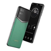 VERTU 纬图 iVERTU 5G手机 12GB+512GB 竹叶绿