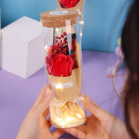 盛世泰堡 红玫瑰永生花满天星干花礼盒玻璃罩许愿瓶彩灯520情人节生日礼物送女友 红色玫瑰款