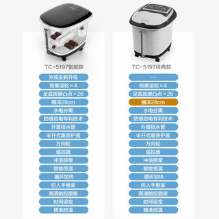 泰昌（Taicn） 足浴盆全自动家用按摩恒温加热泡脚桶洗脚盆电动高深桶送爸妈礼物  TC-5197经典款