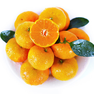 京觅 砂糖橘