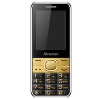 Newman 纽曼 M560 移动版 2G手机 黑金