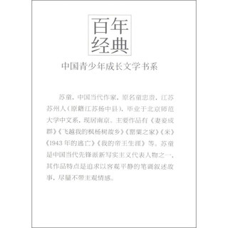 《百年经典·中国青少年成长文学书系：刺青时代》